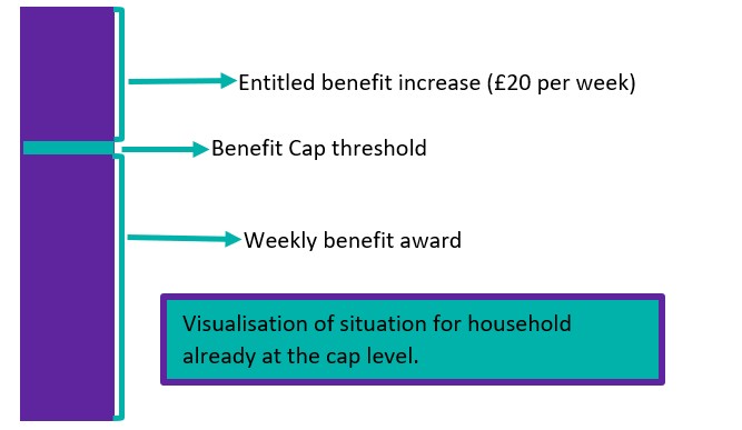 Government store benefit cap