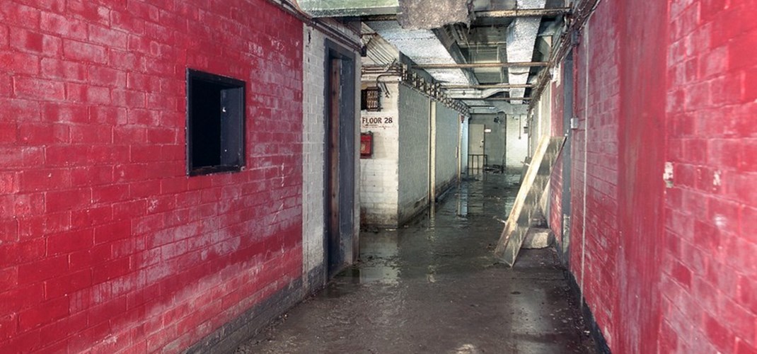 A view of Churchill's paddock with bright red brick walls