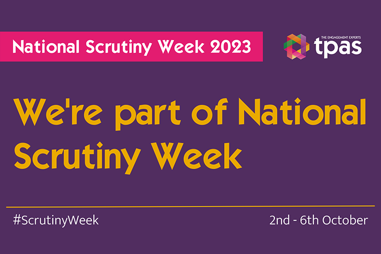 Scrutiny Week 750X500