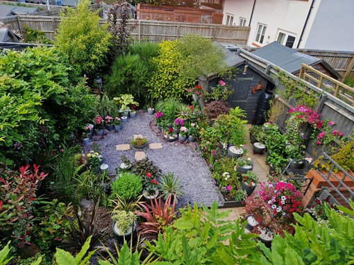 Bright and colourful garden with lots of plants and foliage