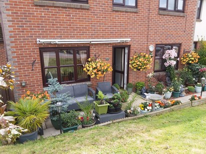 Outdoor patio with lots of plants