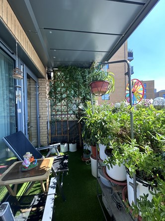 Balcony with lots of plants, some seatsand hanging baskets