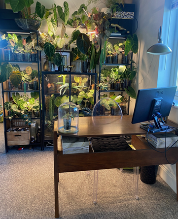 Home office with a plant wall behind the desk