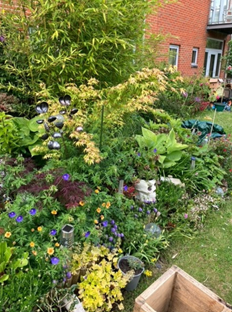 Colourful garden