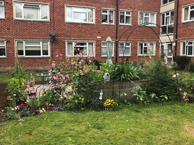 Communal garden with a table and colourful plants