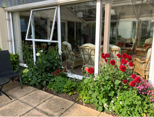 Outdoor patio with bright tall plants